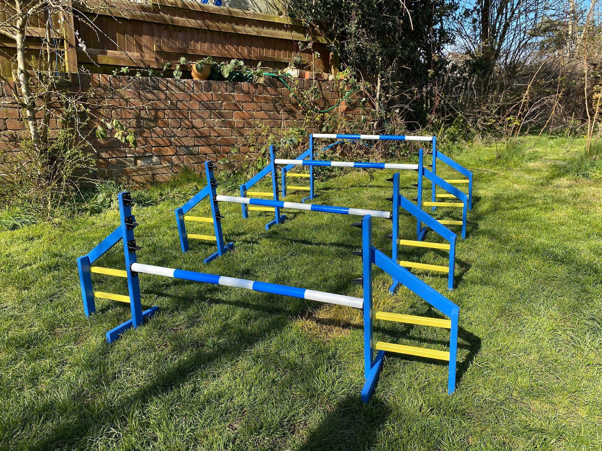 Dog Treadmill for sale 45 ads for used Dog Treadmills