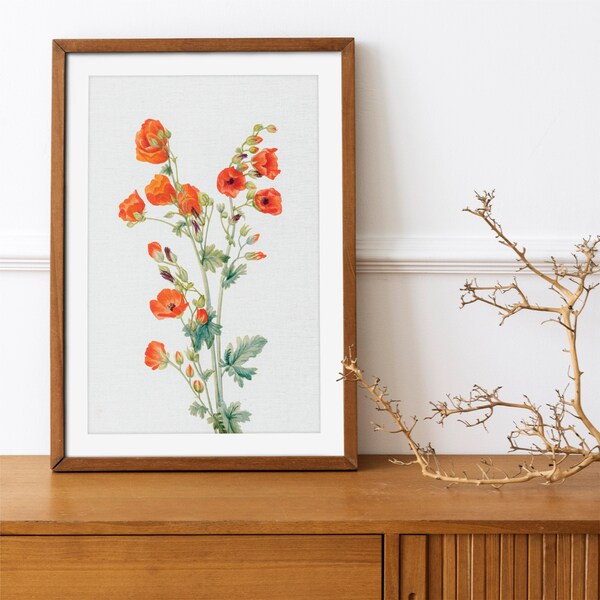 Poppy Flowers | Vintage Still-Life Art, Digital Download