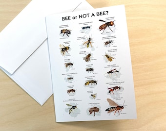 5 - Bee Or Not A Bee, Folded 5x7 Greeting Cards