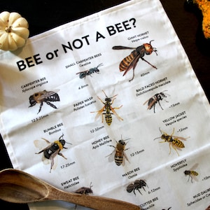 Bee Or Not A Bee, Bee Educational Tea Towel