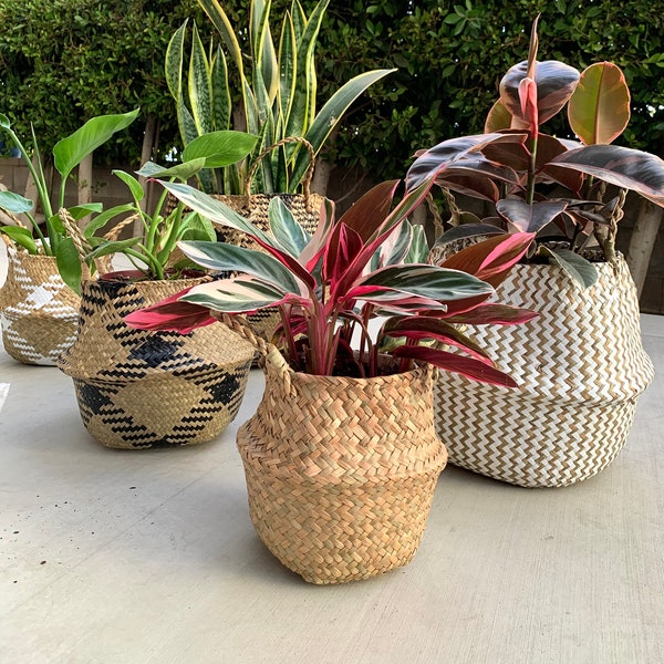 Woven Baskets Boho Storage Baskets Rattan Natural Seagrass Baskets Home Decor Basket Woven Planter Bohemian Planters Wicker Planter