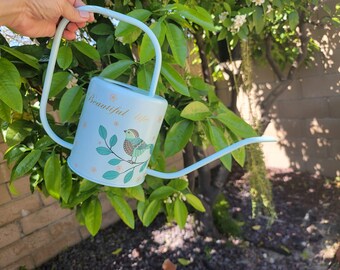 Stainless Steel Watering Can, Mint Green Watering Can Baby Blue Watering Can Bird Printed Watering Can, Thin Spout Nordic Minimalist Hygge