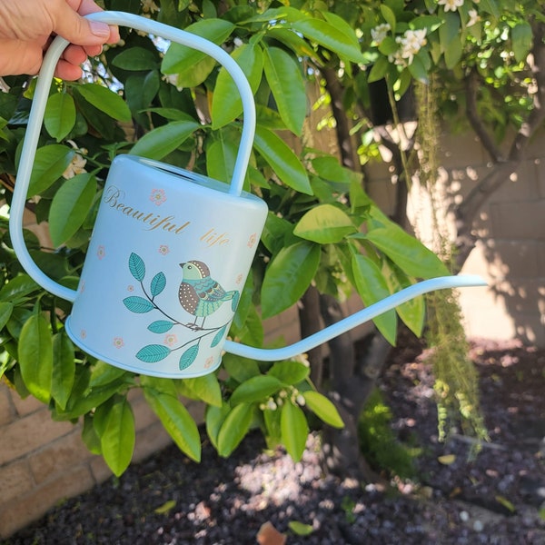 Stainless Steel Watering Can, Mint Green Watering Can Baby Blue Watering Can Bird Printed Watering Can, Thin Spout Nordic Minimalist Hygge
