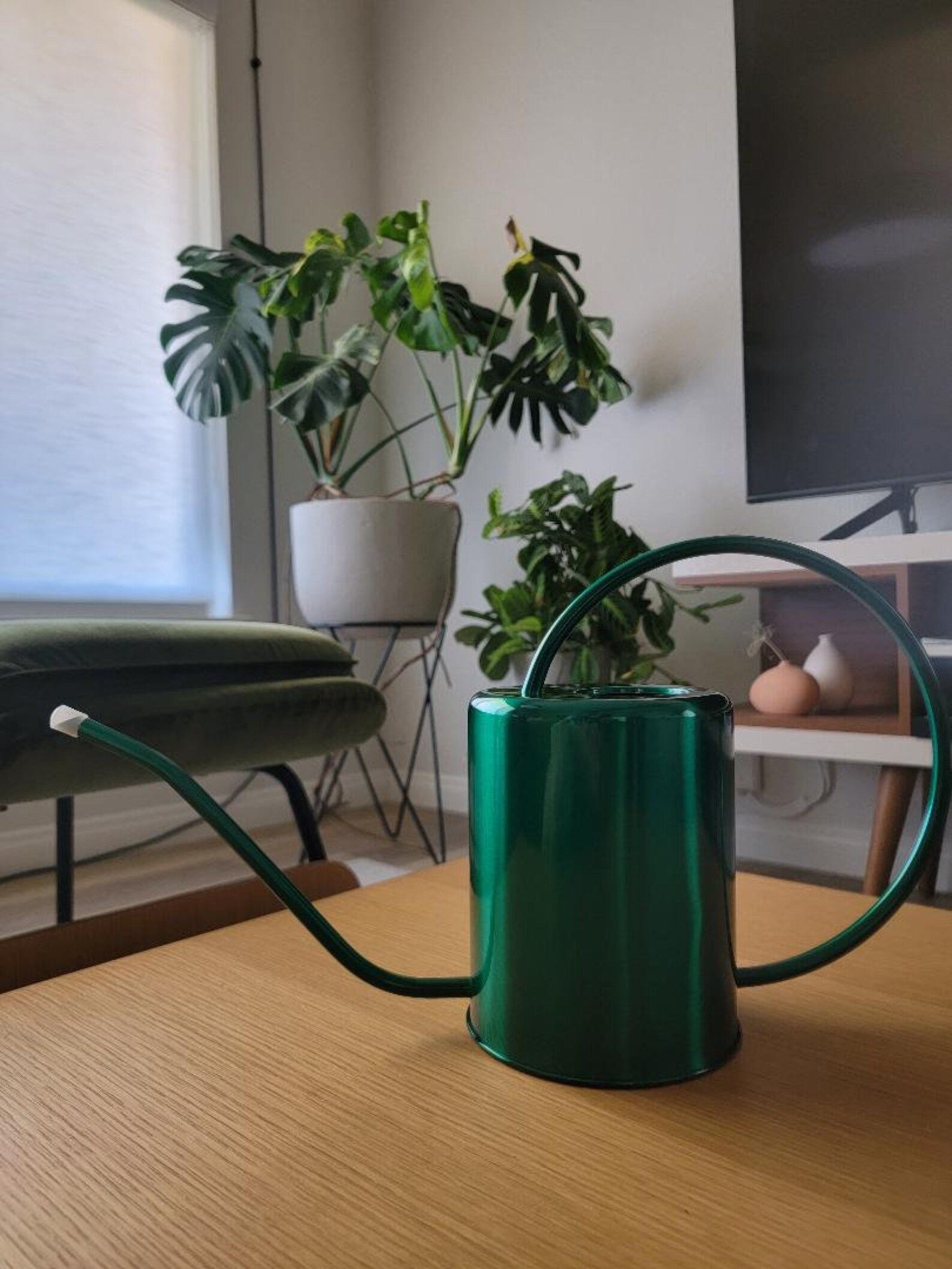 Stainless Steel Watering Can Rose Gold Watering Can Gold Etsy