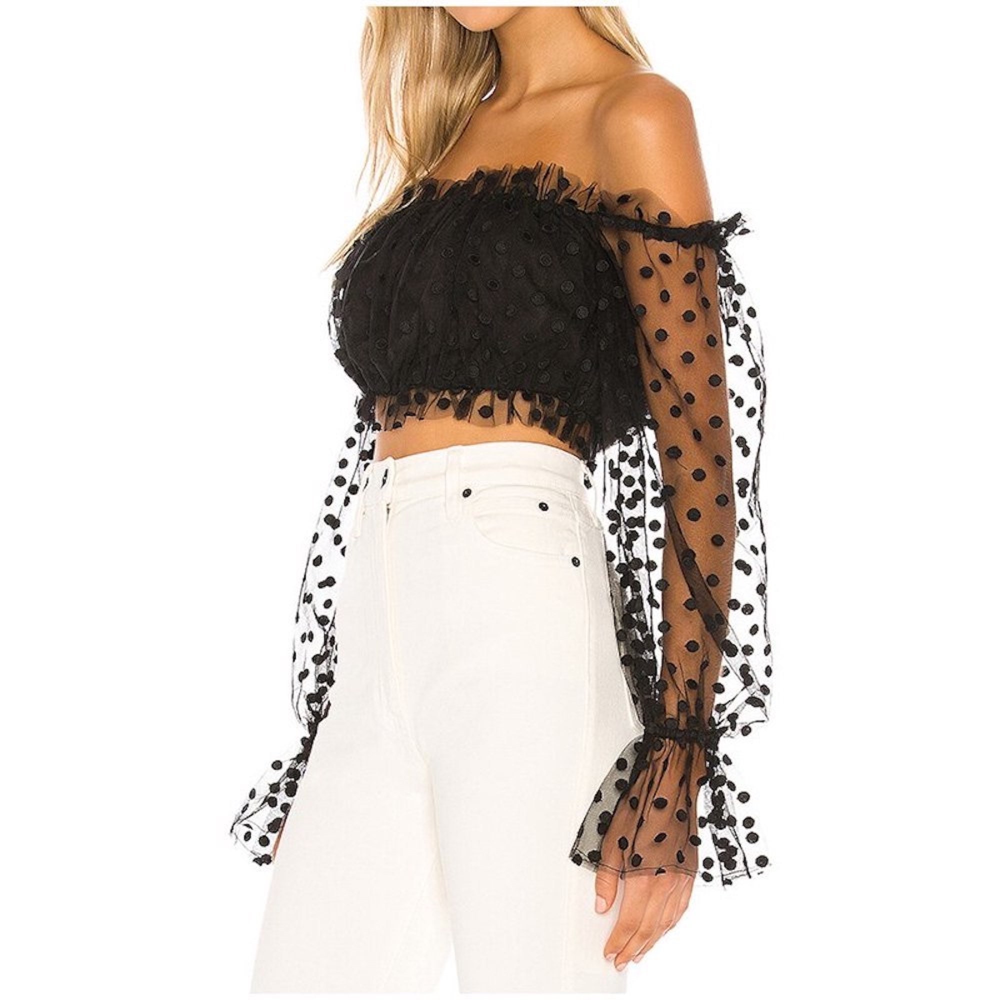 Black Sheer Mesh Embroidery Crop Top Off the Shoulder Long Sleeve Top Casual