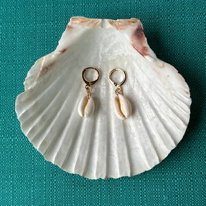 May include: Gold hoop earrings, each with a small, natural seashell pendant. The earrings are presented on a large, white seashell, set against a teal textured backdrop, creating a coastal aesthetic.