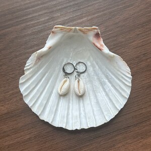 May include: Two earrings with cream-coloured cowrie shells hanging from silver hoops, displayed inside a large, white seashell. The earrings sit on a dark brown wooden surface. These earrings are a beach-themed accessory, perfect for summer.