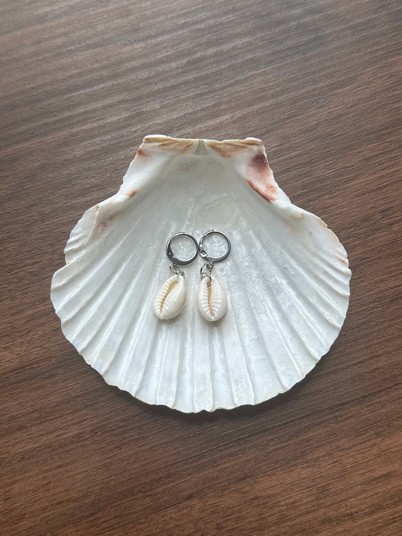May include: Two earrings with cream-coloured cowrie shells hanging from silver hoops, displayed inside a large, white seashell. The earrings sit on a dark brown wooden surface. These earrings are a beach-themed accessory, perfect for summer.