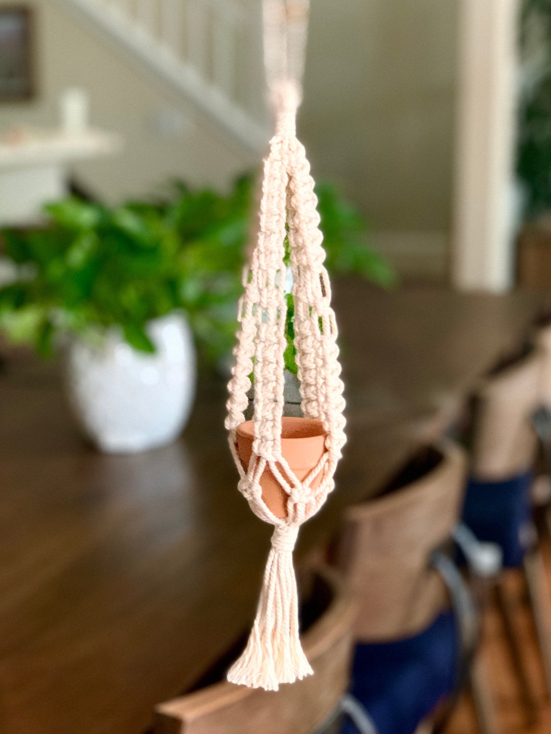 Ittybitty Macrame Mini Plant Hanger 12 Etsy