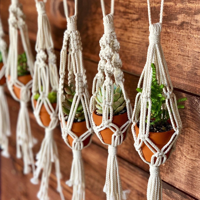 Ittybitty Macrame Mini Plant Hanger 12 Etsy