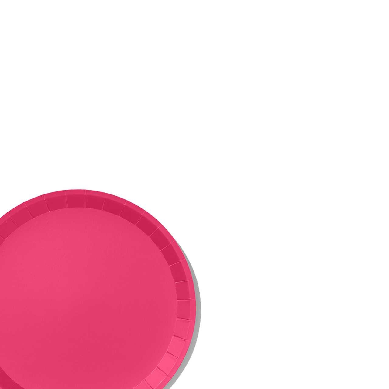 Hot Pink Classic Large Plates 10 per pack Etsy