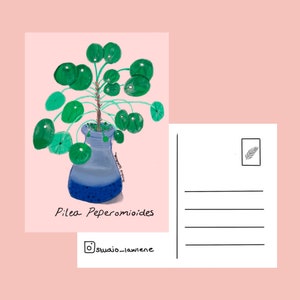 Pilea Peperomioides Postkarte, Pilea, Postkarte, Grußkarte, Botanisch, Pflanzen machen Menschen glücklich, Pfannkuchenpflanze, Pfannkuchenpflanze,