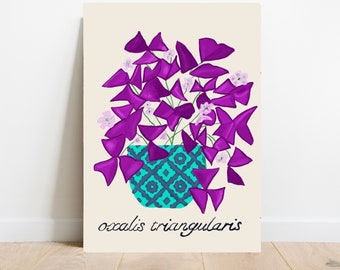 May include: A purple Oxalis triangularis plant in a turquoise patterned pot with the text "oxalis triangularis" below the pot.