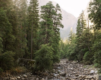 Yosemite Photo Print, Yosemite National Park Art, Yosemite Wall Art, Nature, Travel Photography, California Photography, Waterfall, Creek