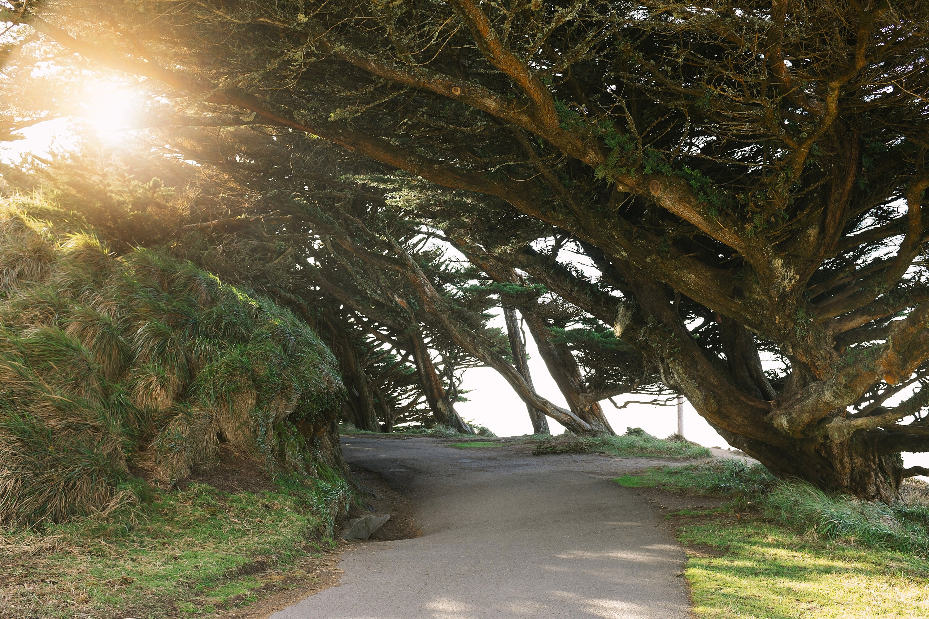 Point Reyes National Seashore Photo Print, California Photography ...