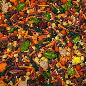 Sprinkles approx 4oz jar - Autumn Splendor mix