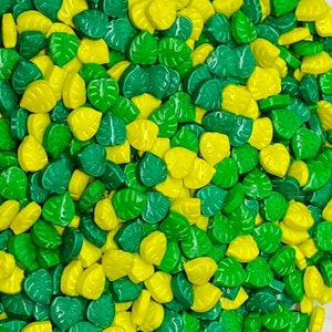 Sprinkles approx 4oz jar - Monstera Leaf
