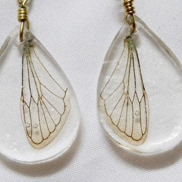 Tear Drop Resin Cicada Wing Natural Earrings