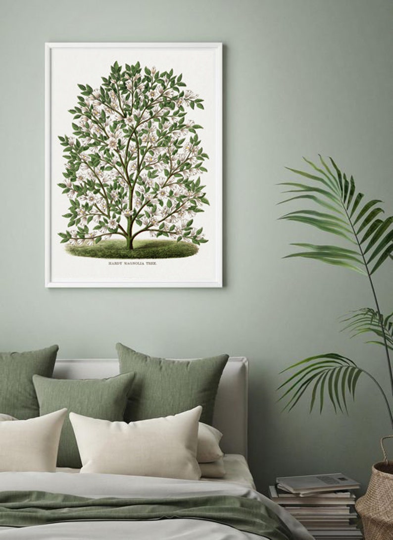 Magnolia Tree Print Wall Art Decor Botanical Poster for Etsy