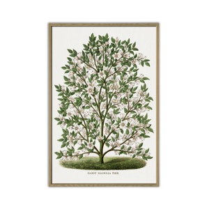 Magnolia Tree Print, Wall Art Decor, Botanical Poster for Room, Kitchen or Office