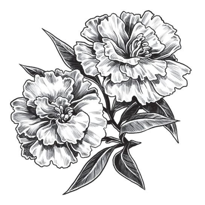 Carnation Temporary Tattoo Etsy