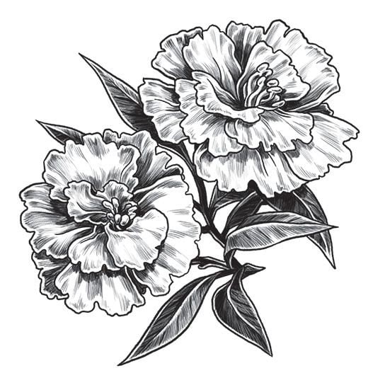 Carnation Temporary Tattoo - Etsy