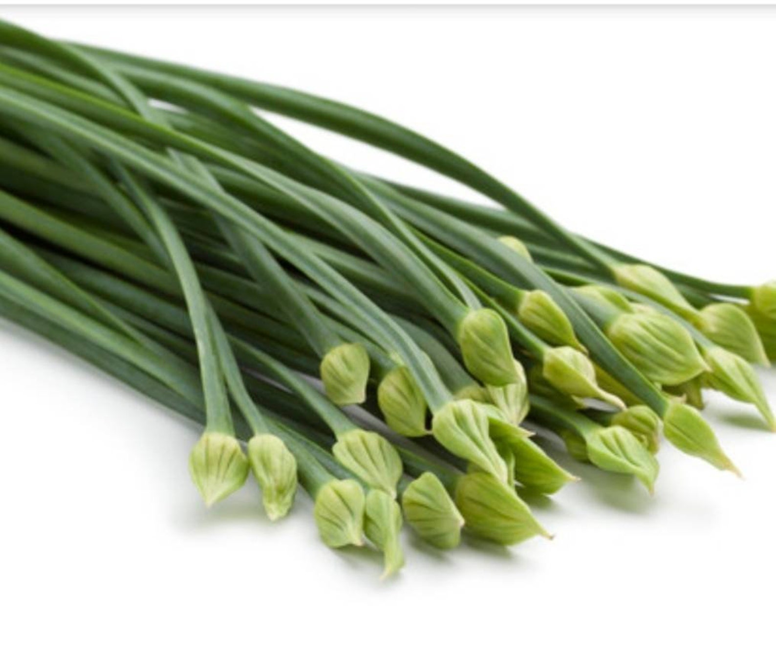 20 Organic Garlic Chives bare root plants Perennial hardy Etsy