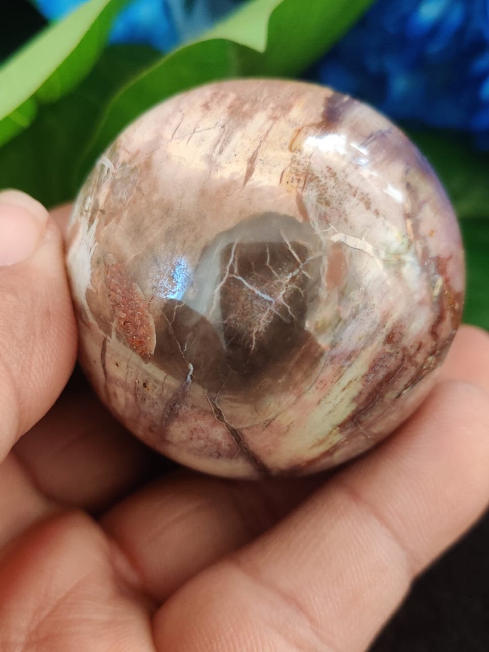petrify orb petrify orb