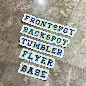Custom Cheer Squad Stickers | Water Bottle Stickers | Cheer Sticker Pack | Laptop Stickers | Cheerleader Gift | Cheerleader Stickers