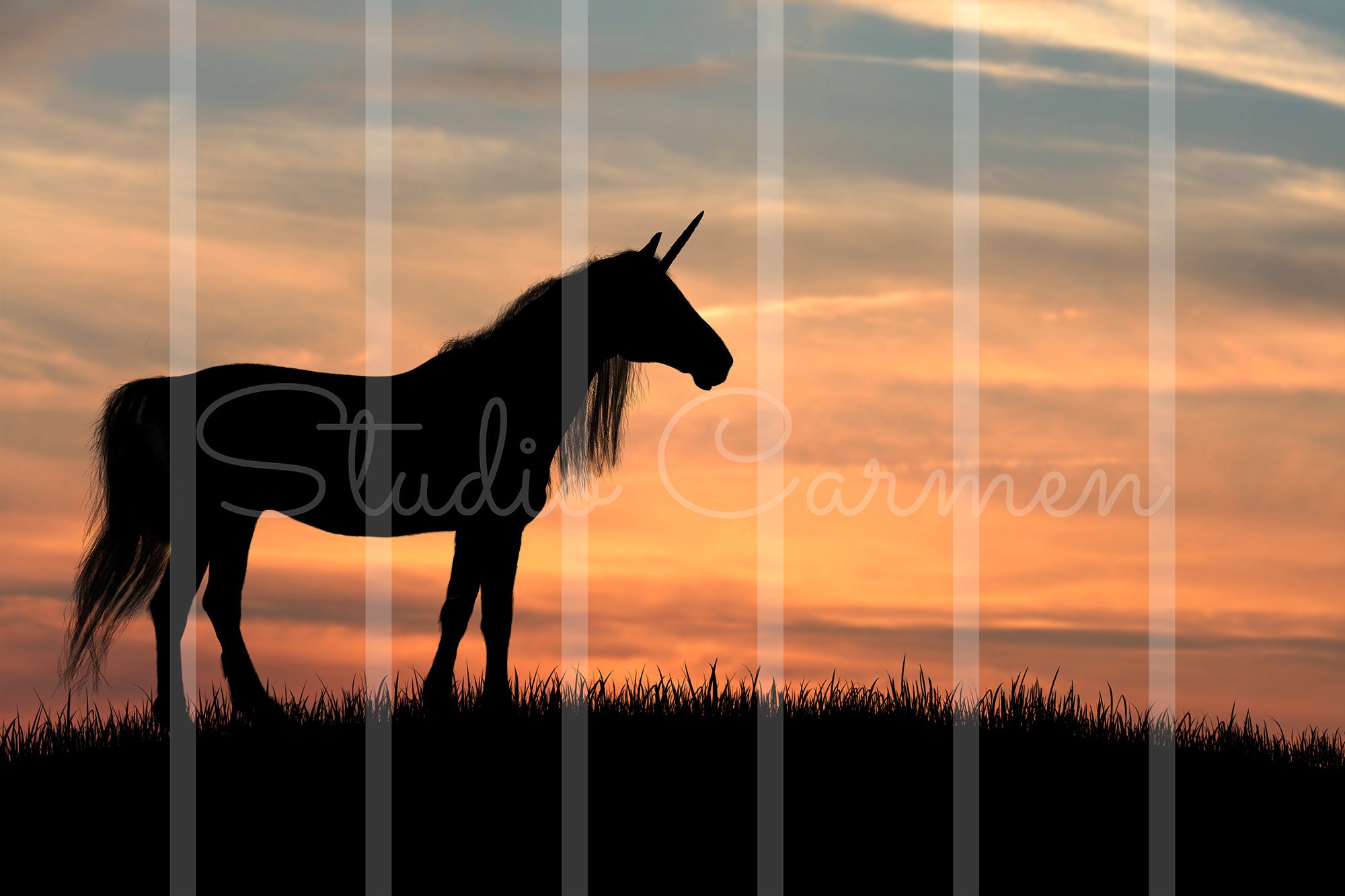 Unicorn Silhouette Digital Background | Etsy