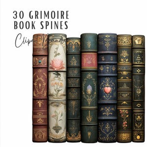 Paquete de 30 imágenes prediseñadas de lomos de libros / Imágenes prediseñadas de lomos de libros de grimorios ornamentados de época / Descarga digital / Imágenes prediseñadas de álbumes de recortes de diarios basura de grimorios