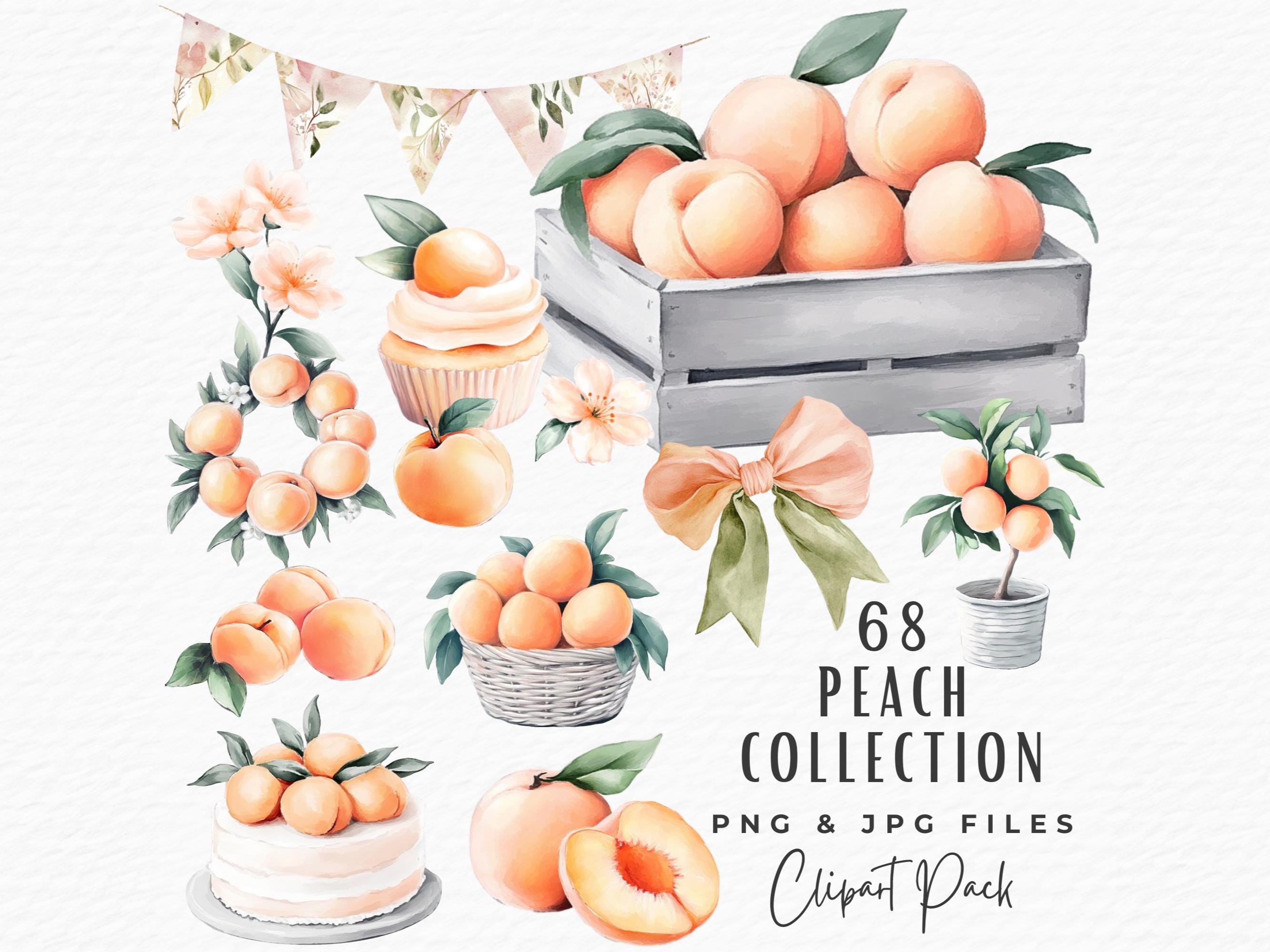 Peach Fruit Clipart Bundle, Watercolor Peach Blossom Tree Summer Fruit Illustration Graphic Clipart PNG JPG, Digital Download Commercial Use