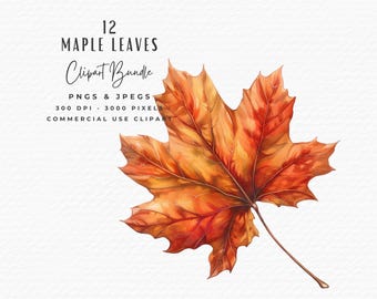 Watercolor Maple Leaves Clipart Bundle, Autumn PNG JPG (Digital Download)