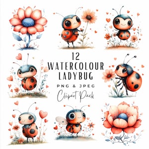 Clipart acquerello Coccinelle e cuori PNG / Clipart coccinella con cuori e fiori / 12 clipart coccinella acquerello / Download digitale /