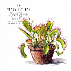 Venus Fly Trap Clipart Bundle | 12 B52 Big Mouth Venus Flytrap Clip Art JPEG Digital Download | Monster Plant Junk Journal Scrapbook Designs