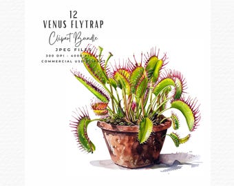 Venus flugfälla Clipart | Monsterväxt Scrapbook Designs (digital nedladdning)