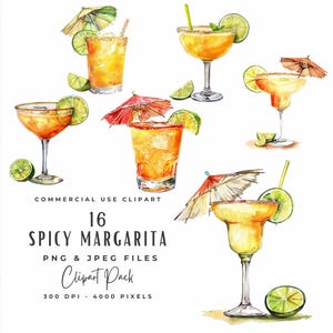 Pacchetto Clipart Margarita piccante / 16 Clip Art Bicchiere da cocktail con firma ad acquerello JPEG PNG Download digitale / Clipart illustrazione bevanda