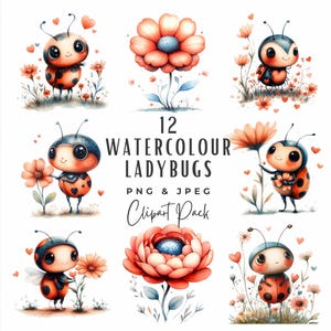 Pacchetto di clipart di coccinelle e cuori ad acquerello, clipart di coccinelle con cuori e fiori, 12 graziose clipart PNG JPG da scaricare digitalmente