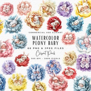 Pacchetto Clipart di bambini in fiore, 66 ClipArt di bambini gemelli addormentati, bambina e bambino in una peonia, download digitale, Clipart PNG JPG per baby shower di neomamme e papà