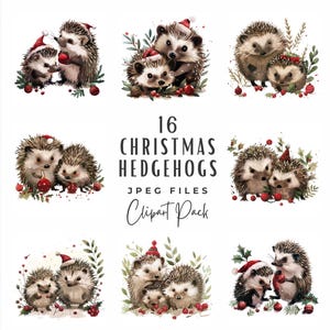Lot de cliparts hérisson de Noël | Aquarelle hiver vacances mignon hérisson Illustration Clipart JPG | Créations numériques de carnets d'art pour ordures ménagères