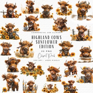 22 Watercolor Sunflower Highland Cow Collection Clipart, High Quality PN Designs,  Commercial Use, Baby Cow Clipart Bundle, Digital Download