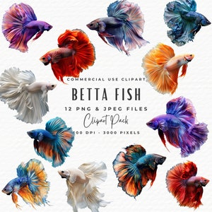 12 Betta Fische Clipart Bundle | Helles Aquarell Aquarium Betta Kampffisch PNG Bündel | Sofortiger digitaler Download | Tropische Fische Clipart