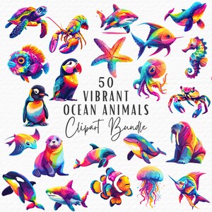 Pacchetto di clipart di animali della vita dell'oceano luminoso / Download digitale / Delfino Medusa Squalo balena Tartaruga Pinguino Pesce pagliaccio Clip Art Disegni PNG