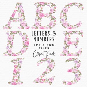 Grandmillenial Alphabet Clipart, 36 aquarela feminina estética preppy chinoiserie primavera flor letras e números clipart, download digital