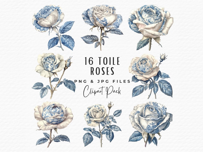 Blue Toile Rose Clipart Bundle: Watercolor Chinoiserie (digital ...