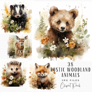 Woodland Animals Clipart Watercolor, Clipart for Commercial Use Transparent PNGs, Nursery Clipart, Fox, Bear, Deer, Hedgehog, Rustic Clipart