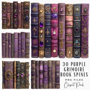 Pacchetto di 30 Clipart di dorsi di libri, Clipart di dorsi di libri Grimoire viola ornati d'epoca, Download digitale, Clip art di album di ritagli di diario Grimoire Junk