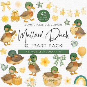Mallard Duck Baby Shower Clipart, 43 Watercolor PNG Digital Download, Cute Duck Graphics for Invitations, Commercial Use, Boy Birthday Party