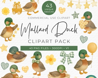 Mallard Duck Baby Shower Clipart: Watercolor PNG Graphics (Digital Download