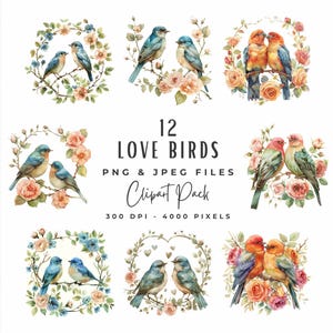 Love Birds Clipart PNG JPG Bundle | Ilustração de pássaro romântico em aquarela | Clip Art de pássaros do amor para casamento de chá de panela | Download digital